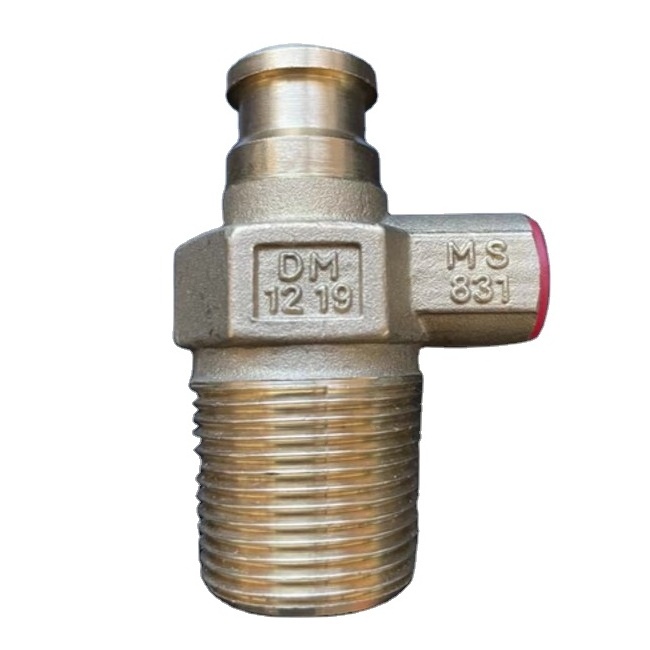 2021 hot sale Malaysia MS 831 certification D20 self-closing safety LPG valve