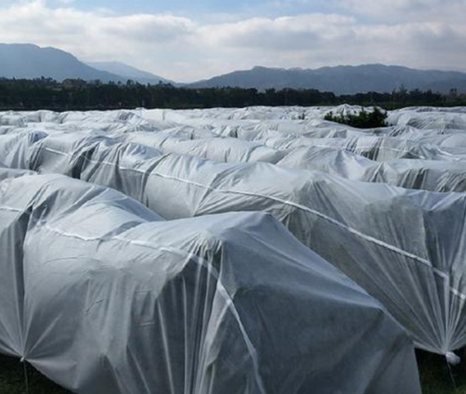 Custom winter Citrus cold proof cloth, anti frost plant /fruit cover  pp non woven fabric