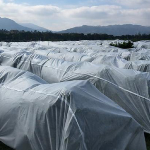 Custom winter Citrus cold proof cloth, anti frost plant /fruit cover  pp non woven fabric