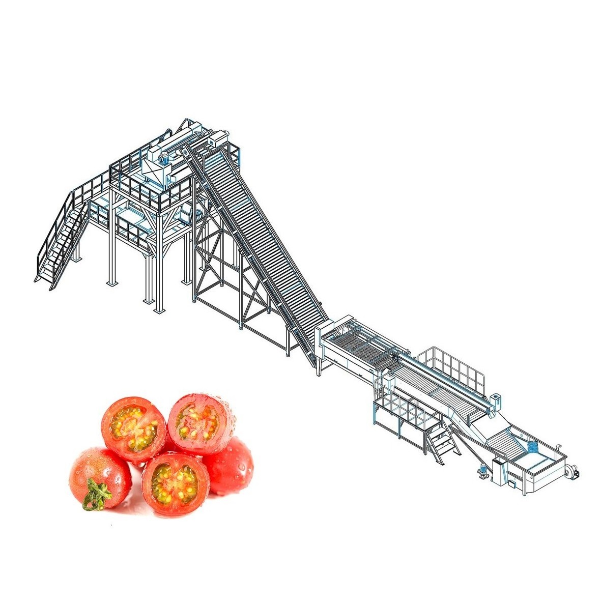 Fruit production line machines low energy cost automatic tomato sorting machine