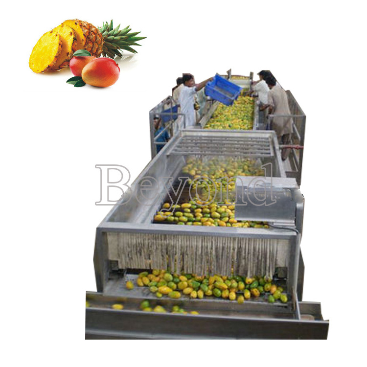 Complete mango juice processing machine/mango juice concentrate processing line/plant