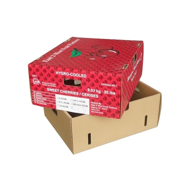 Custom Recyclable Rigid Fruit And Vegetable Corrugated Shipping Box Mango Packing Boxes