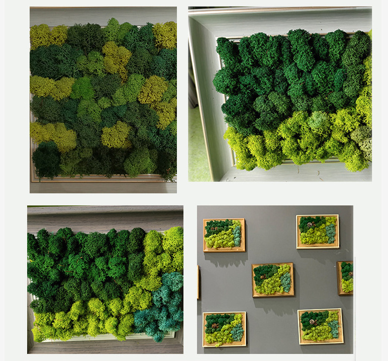 preserved moss Grass Hexagon wall art deco Real Moss Wall decor for Fairy Gardens Terrariums Any Craft