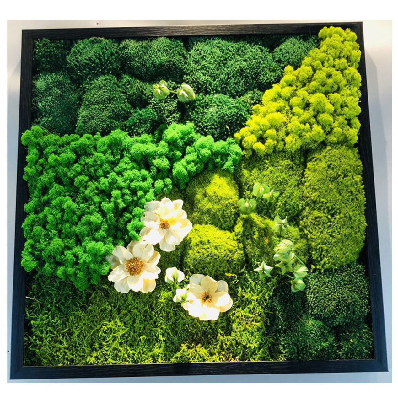 preserved moss Grass Hexagon wall art deco Real Moss Wall decor for Fairy Gardens Terrariums Any Craft