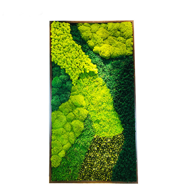 preserved moss Grass Hexagon wall art deco Real Moss Wall decor for Fairy Gardens Terrariums Any Craft