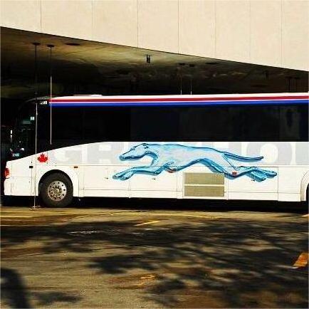 Aludream High quality Aluminum Composite panel for Trailer/Bus