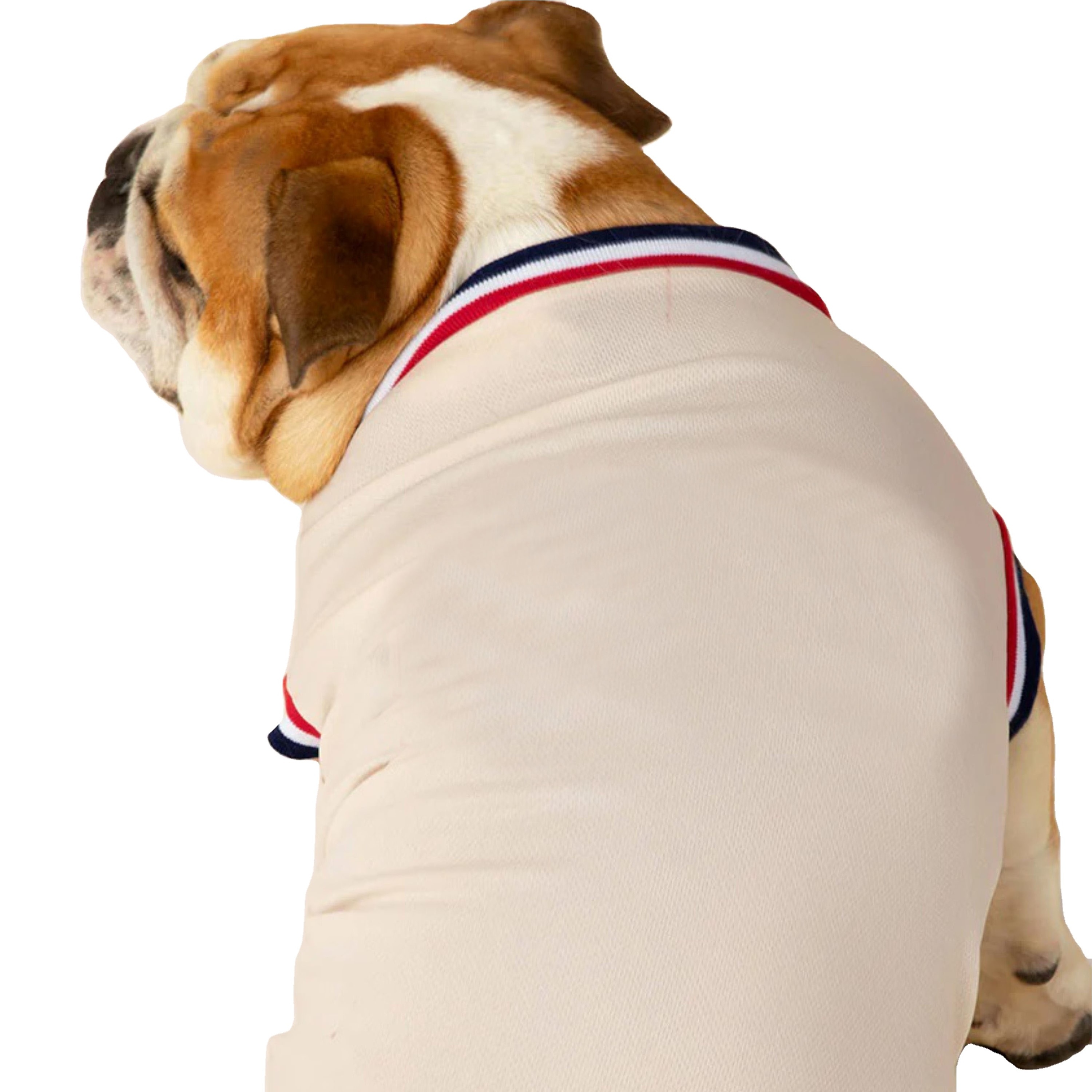 High-Quality Dog Jersey Customizable Pet Clothing Comfortable and Stylish Sportswear for Dogs All Sizes Available