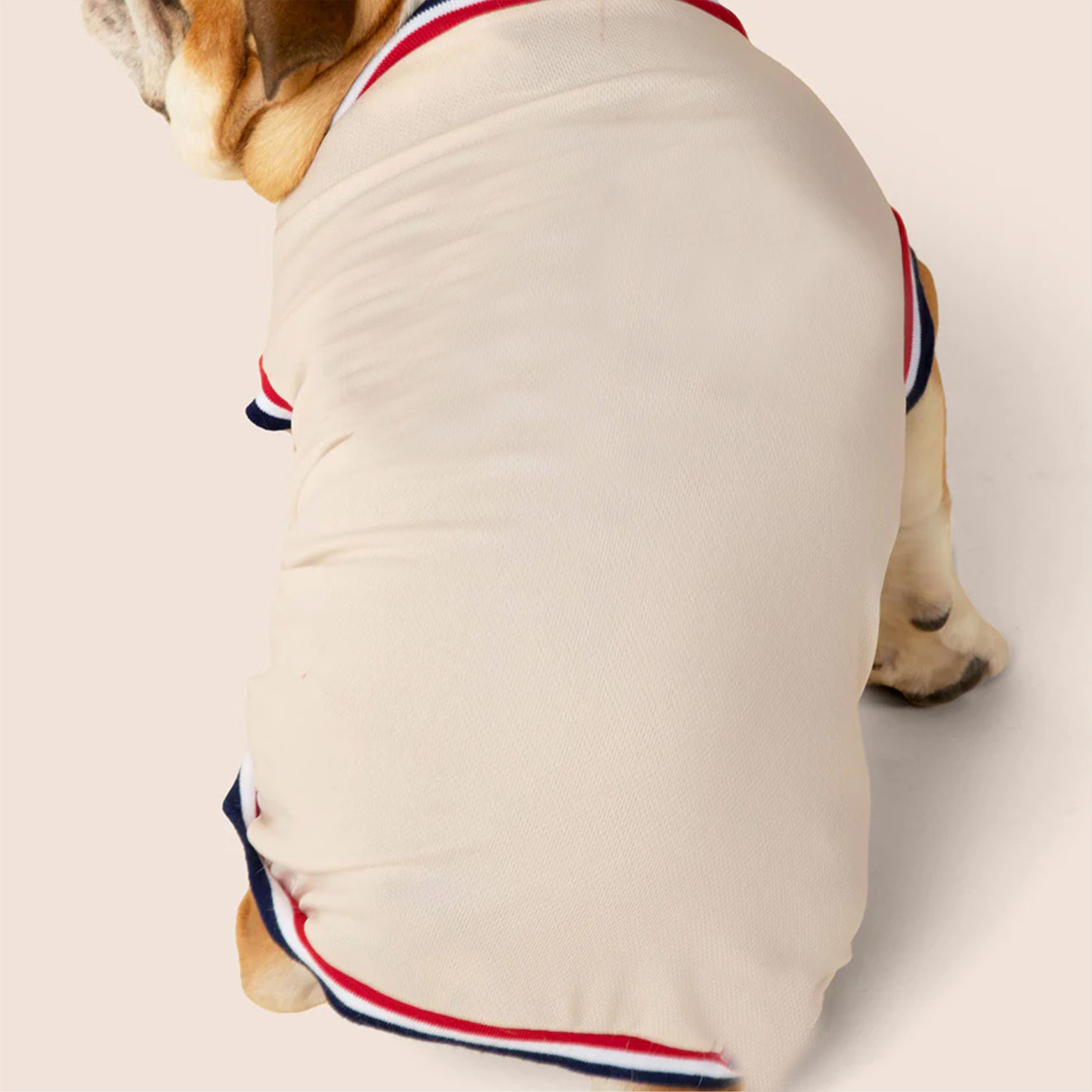 High-Quality Dog Jersey Customizable Pet Clothing Comfortable and Stylish Sportswear for Dogs All Sizes Available