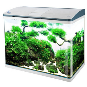 SHANDA Small Curved  Fish Tank D-800 with LED Light Clear Glass Aquarium Fish Tank