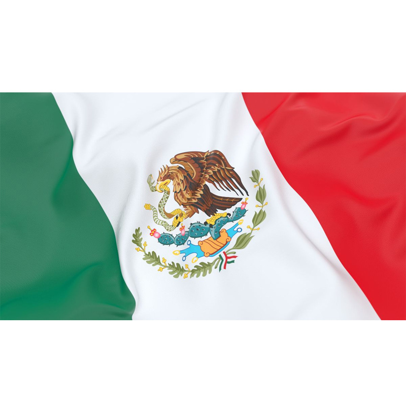 Custom 3x5FT Any Size 100% Polyester Single Double Sided Rainbow American Mexican Mexico Country Flags Friendship Banner