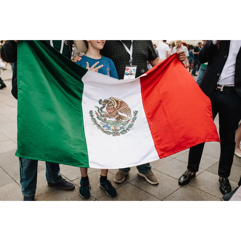 Custom 3x5FT Any Size 100% Polyester Single Double Sided Rainbow American Mexican Mexico Country Flags Friendship Banner