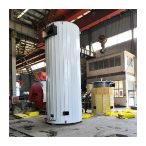 Small Diesel Oil Fired Hot Water Boiler For Swimming Pool Stainless Steel hot water boiler Hot Water