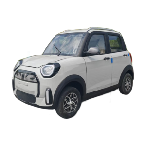 New 2 seater mini electric car for adults, mini electric car mini electric car