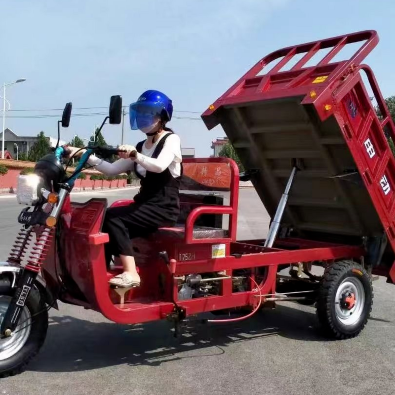 Sale of electric cargo tricycles three-wheeled motorcycles electric tricycles for adults