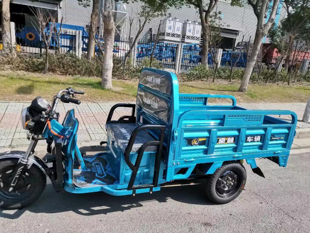 Popular High quality 60V 30AH 45AH 52AH 1000W Three wheels triciclo electric cargo tricycle Electric cargo tricycle for adult