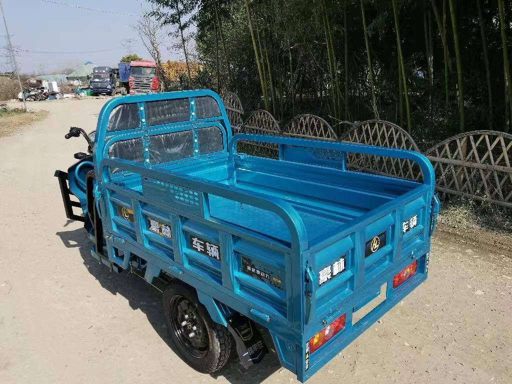 Popular High quality 60V 30AH 45AH 52AH 1000W Three wheels triciclo electric cargo tricycle Electric cargo tricycle for adult