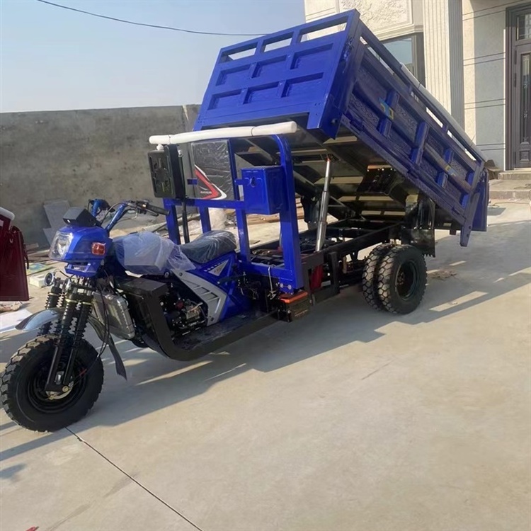 Battery Trike Wheeler Tuk Tu Tricycles 60v 1600w Three Wheel Electric Cargo Tricycle Electric High Quality