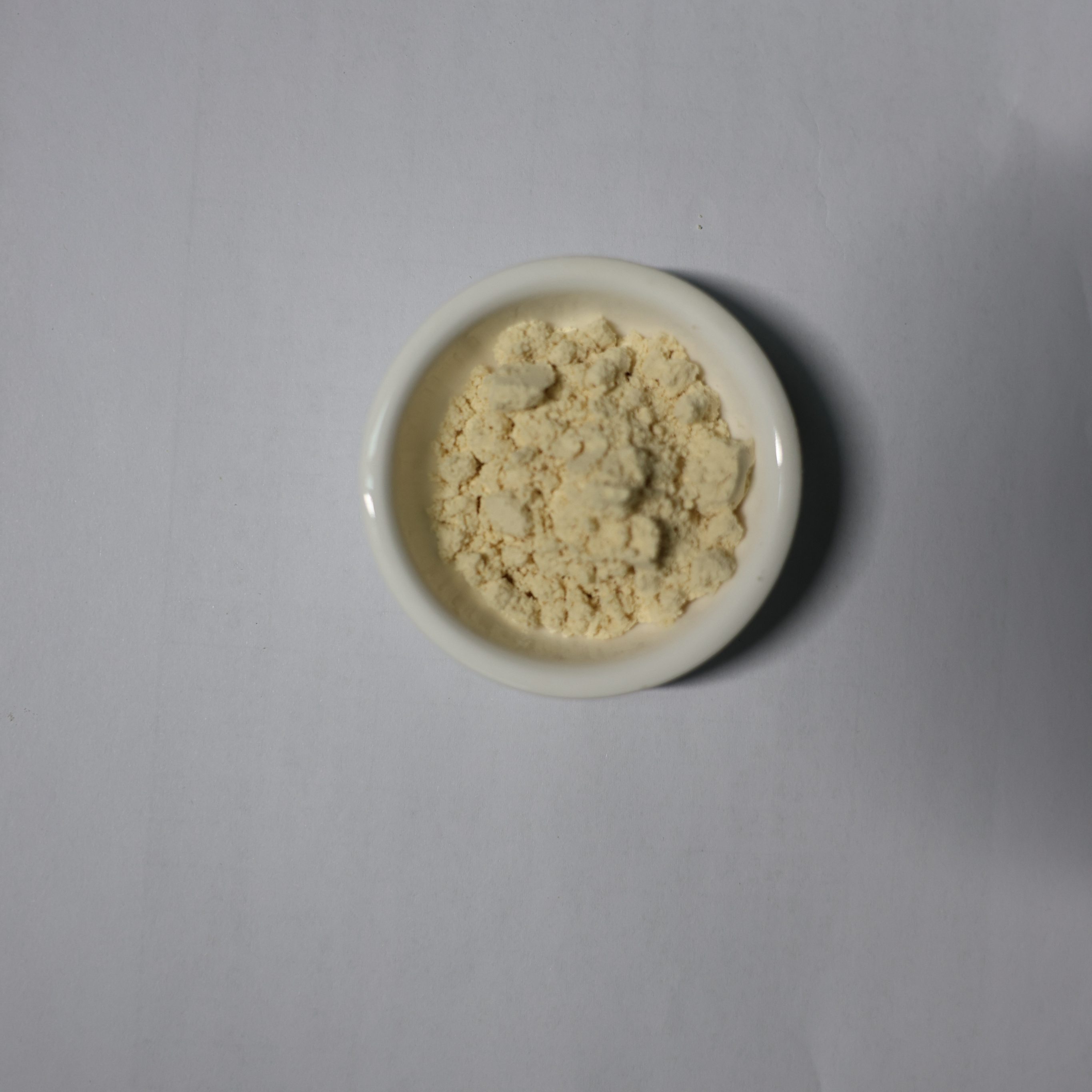 soy bean milk powder