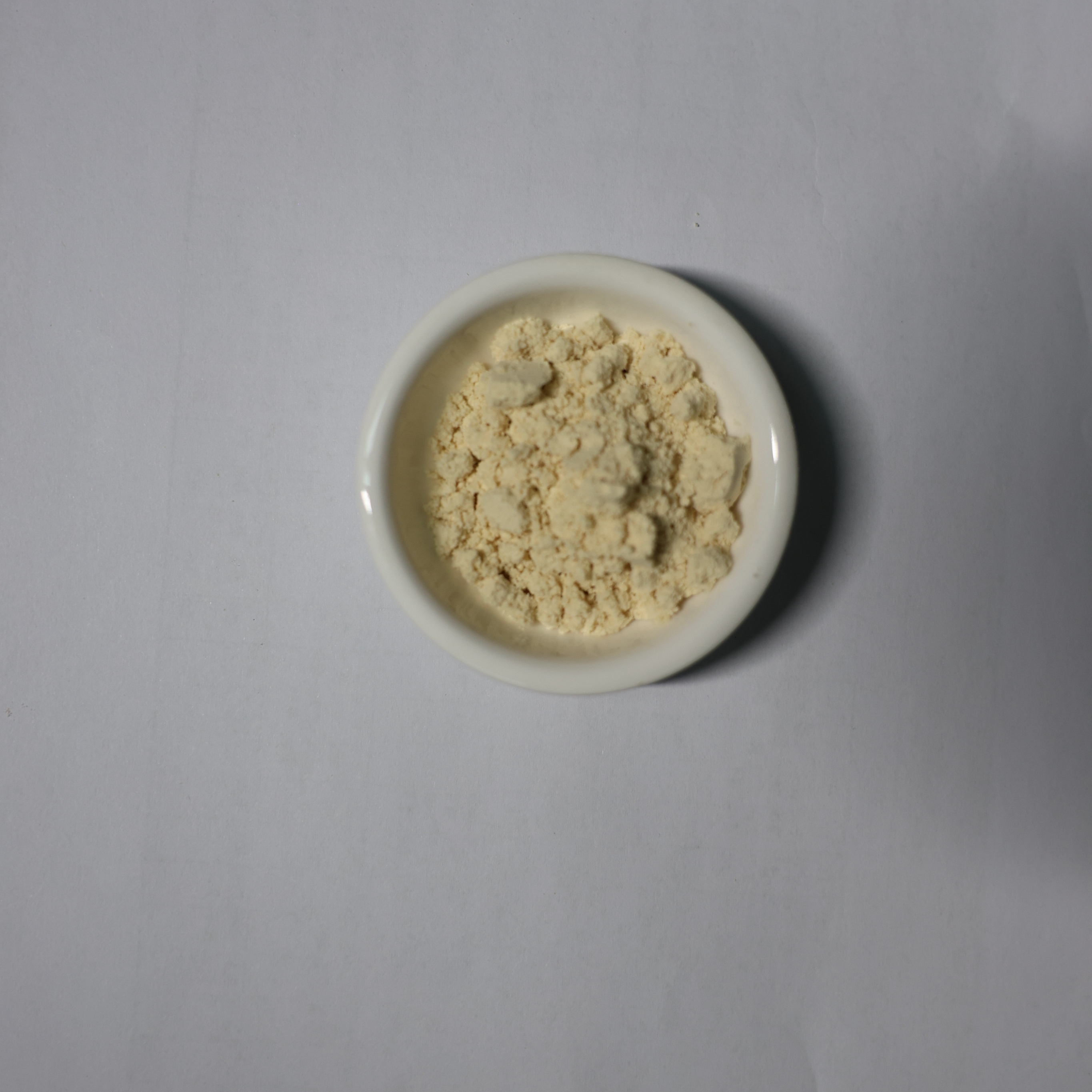 soy bean milk powder