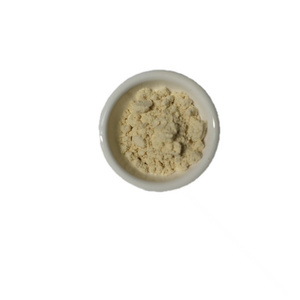 soy bean milk powder