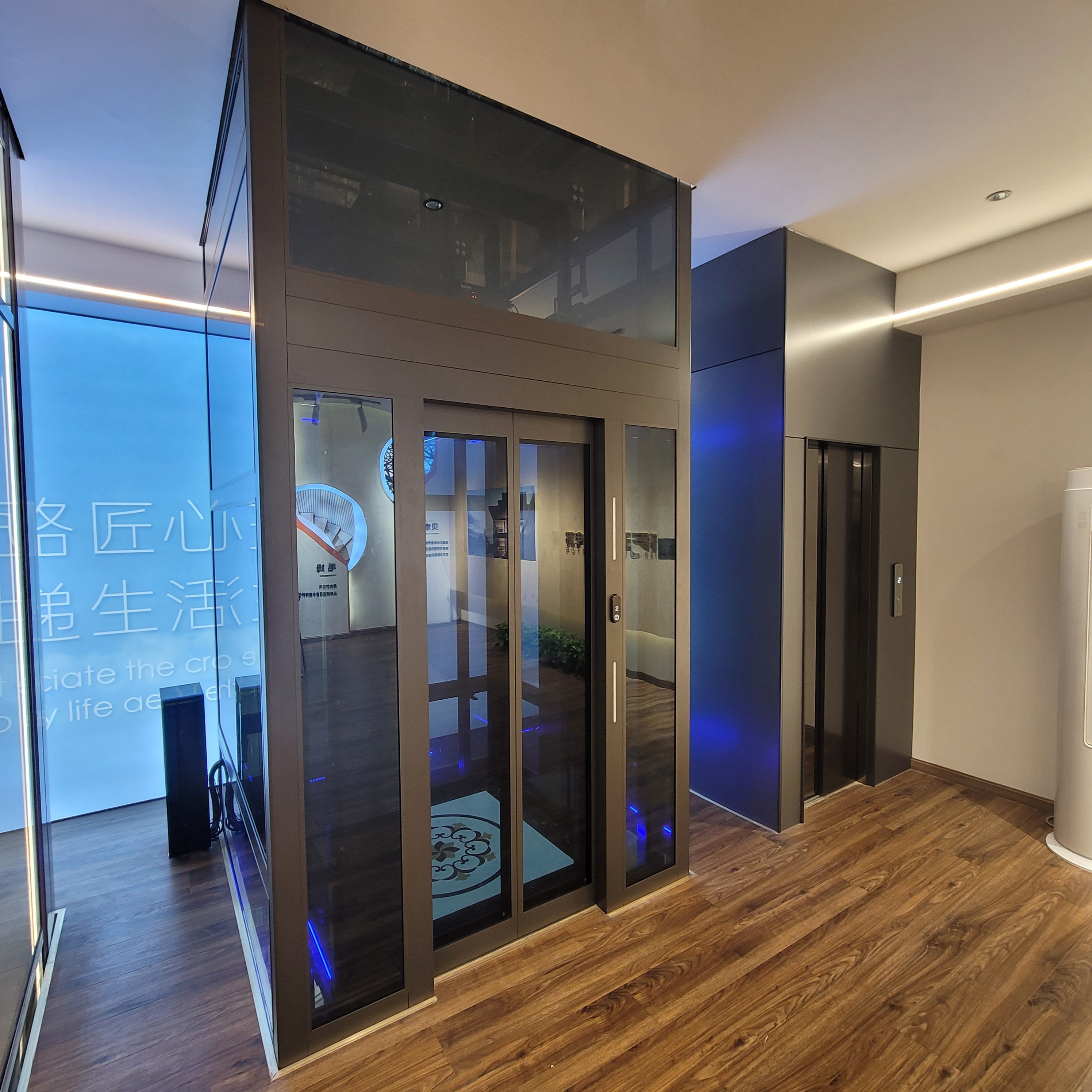 Low Price household elevators lift 4 person lift home popular elevator customized villa elevato Stainless Steel Villa Elevator