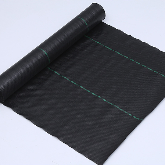 Hot Selling Woven Geotextile Dust Barrier Filter Cloth PP Polypropylene For Retaining Wall