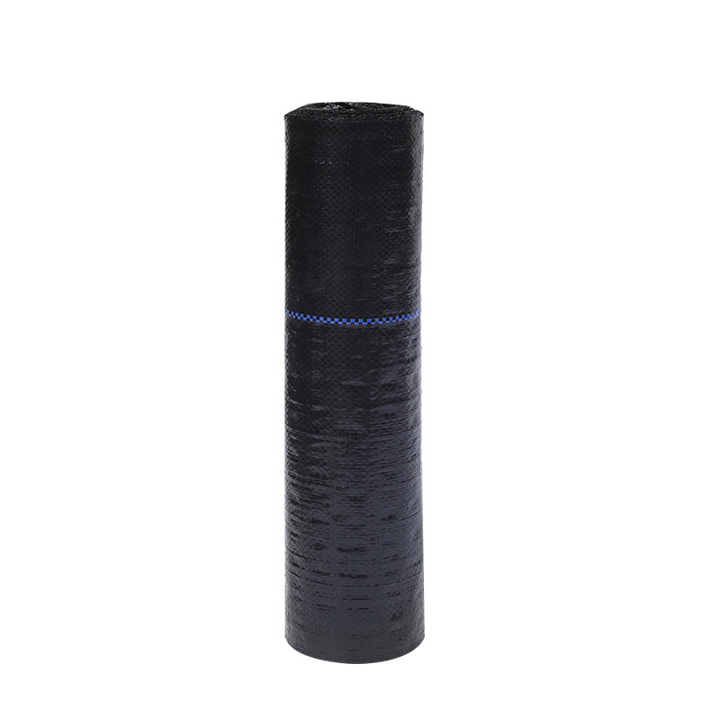 Hot Selling Woven Geotextile Dust Barrier Filter Cloth PP Polypropylene For Retaining Wall