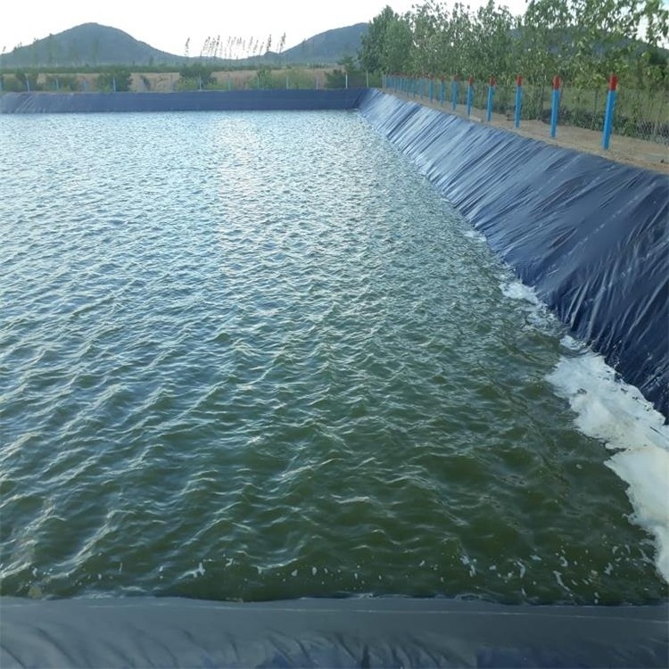 0.5mm 0.75mm HDPE Geomembrane Fish Farm Pond Liner Circular Fish Farm Plastic Water Tanks Liner for Aquaculture