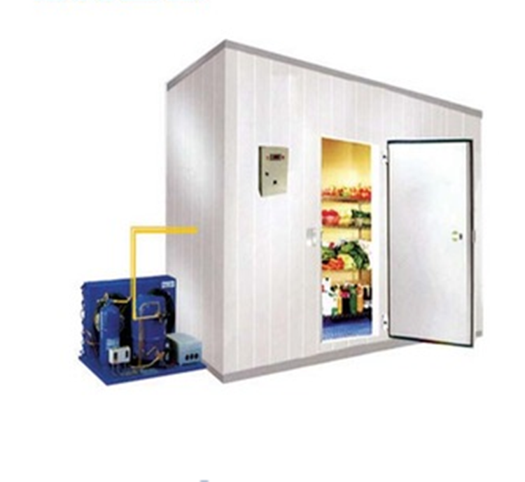 Modular Refrigeration Cold Room For Fish Storage