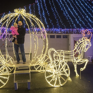 Outdoor waterproof 3D motif lighted christmas led motif pumpkin carriage light