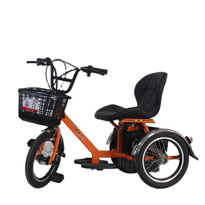 Hot sell 24V 40AH Mini electric tricycle Convenient and practical 3 Wheels Electric Bike