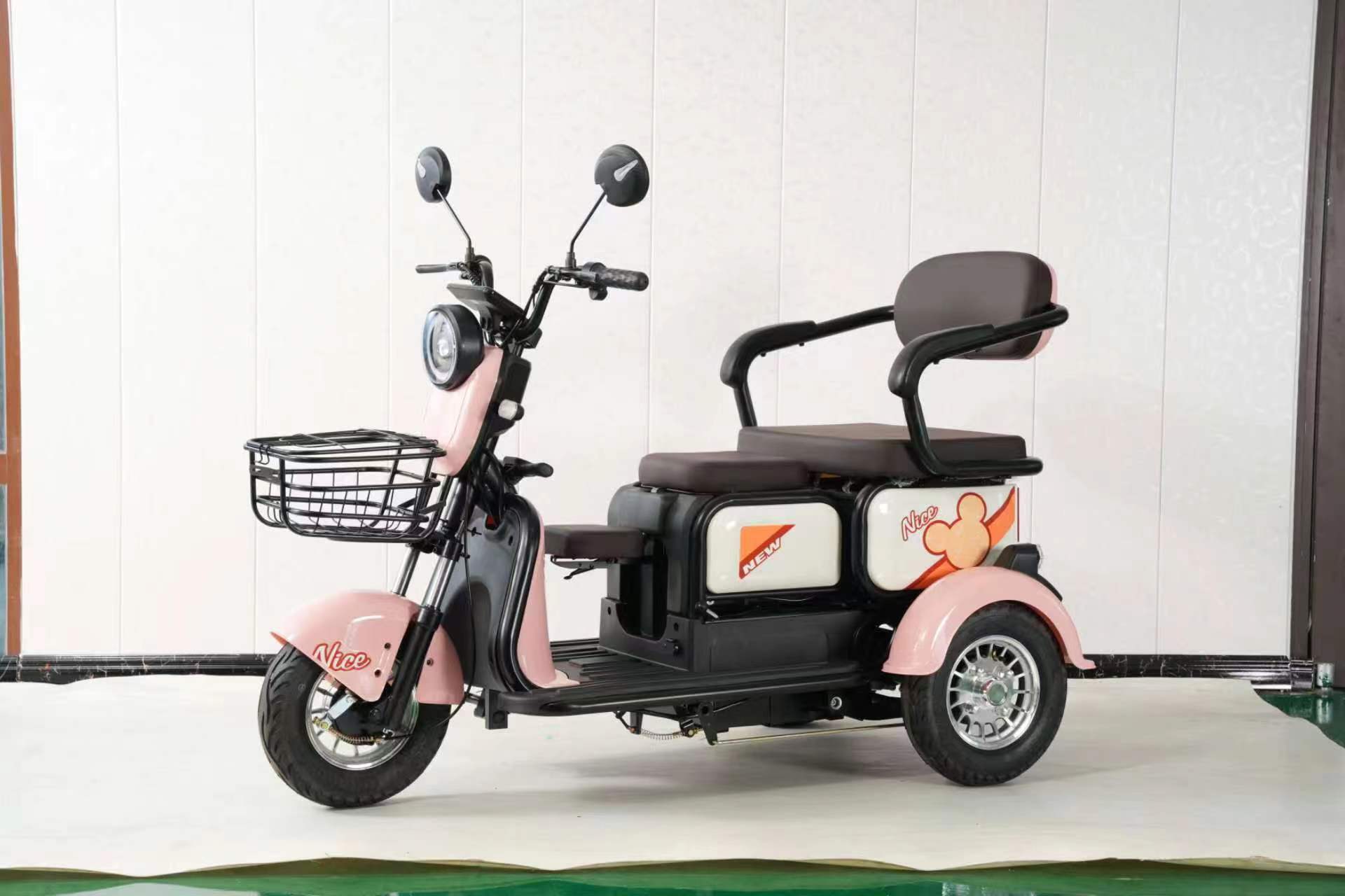 800W/1000W Electric Cargo Tricycle For Adult OEM ODM Tricycle With Custom Logo