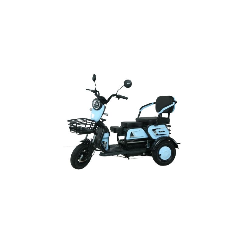 800W/1000W Electric Cargo Tricycle For Adult OEM ODM Tricycle With Custom Logo