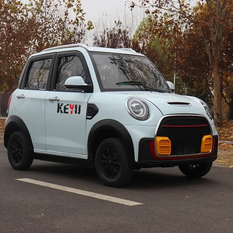 YANUO Mini Electric Car 72V Power Saving Convenient Vehicle with Lead Acid Battery New Energy Small Electric Car