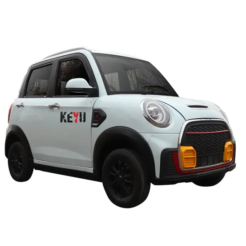 YANUO Mini Electric Car 72V Power Saving Convenient Vehicle with Lead Acid Battery New Energy Small Electric Car