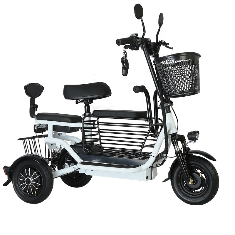 350w motor electric scooter for pet dog and cat pet electric bike tricycle