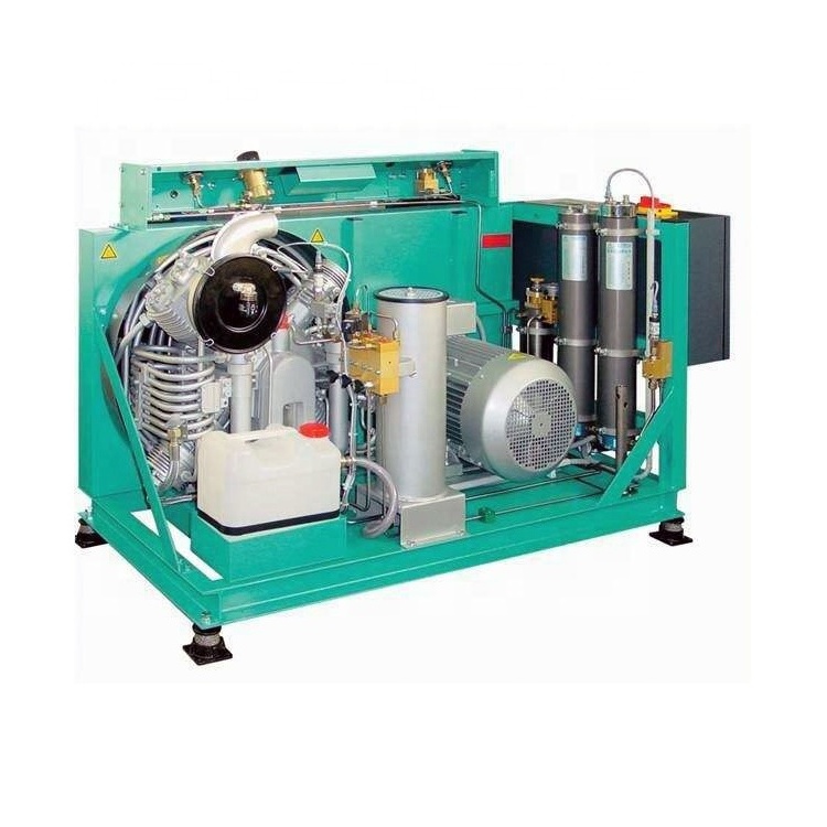 High Quality Electric Screw Compressor Factory Price cng compressor natural gas