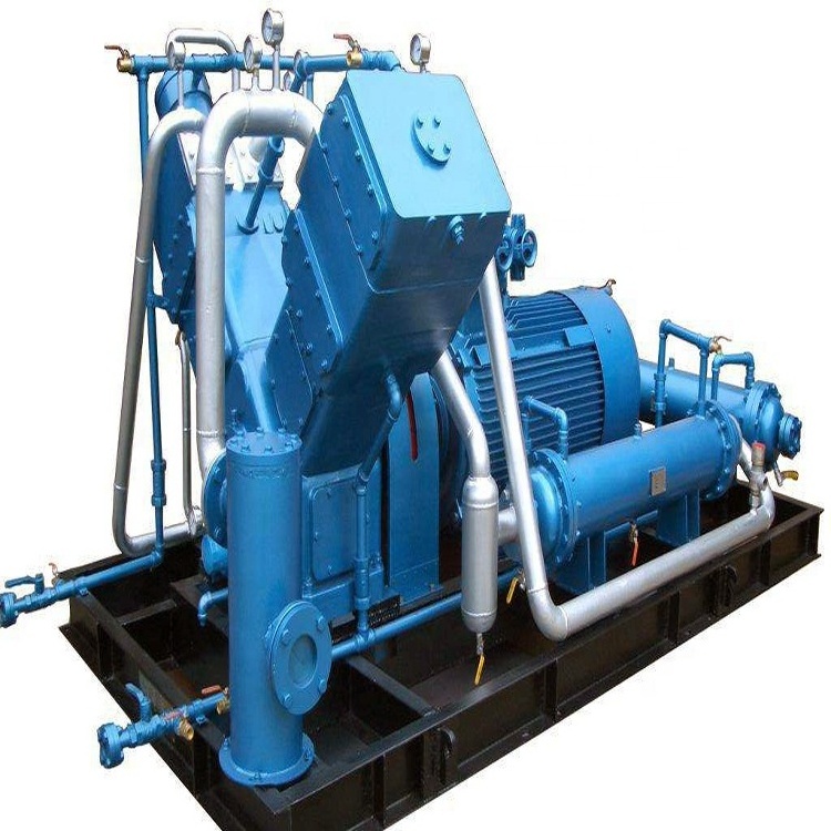 High Quality Electric Screw Compressor Factory Price cng compressor natural gas