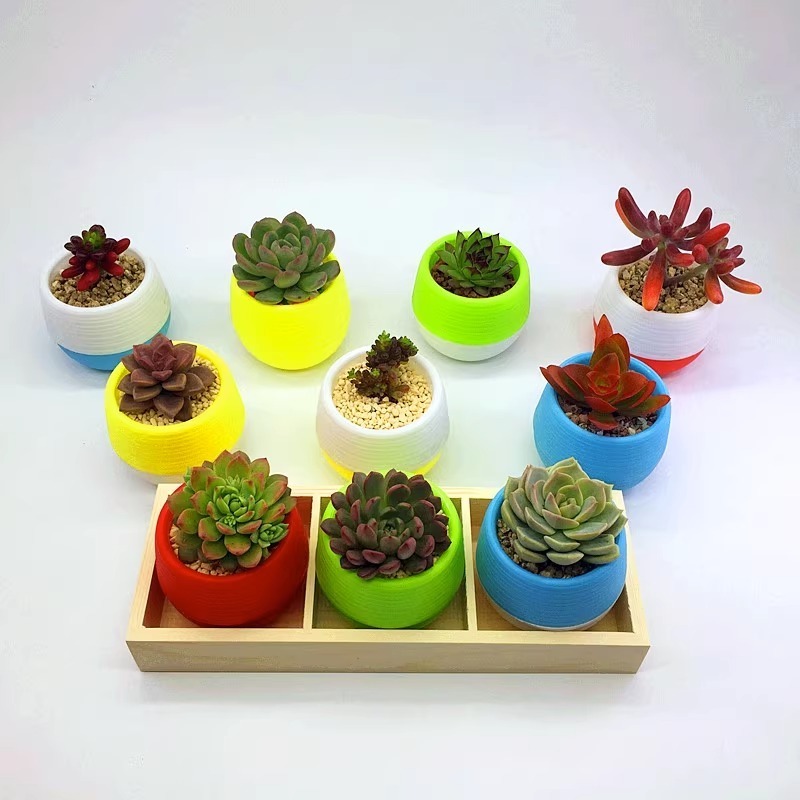 Cute Shape Mini Colorful 4 inch Round Plastic Cactus Seed Starting Succulent Flower Pots With Drainage hole