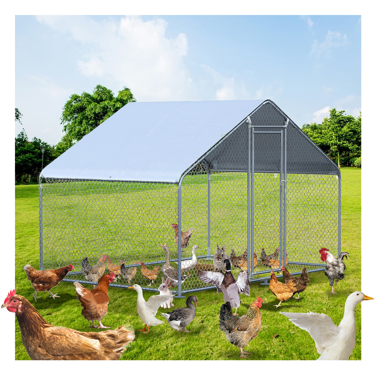 Wholesale Designer Poultry Turkey Cage Outdoor Prefabricated Indoor Cages Chicken Coop For Goose