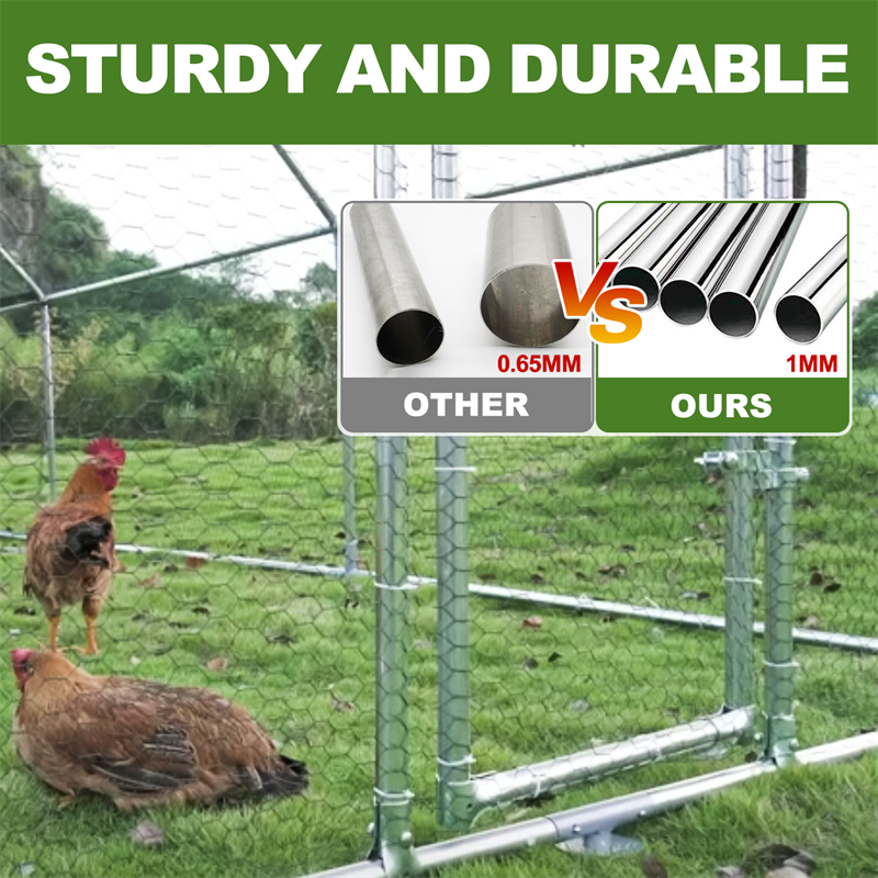 Factory directly cheap large metal chicken run walk frame rooster cage