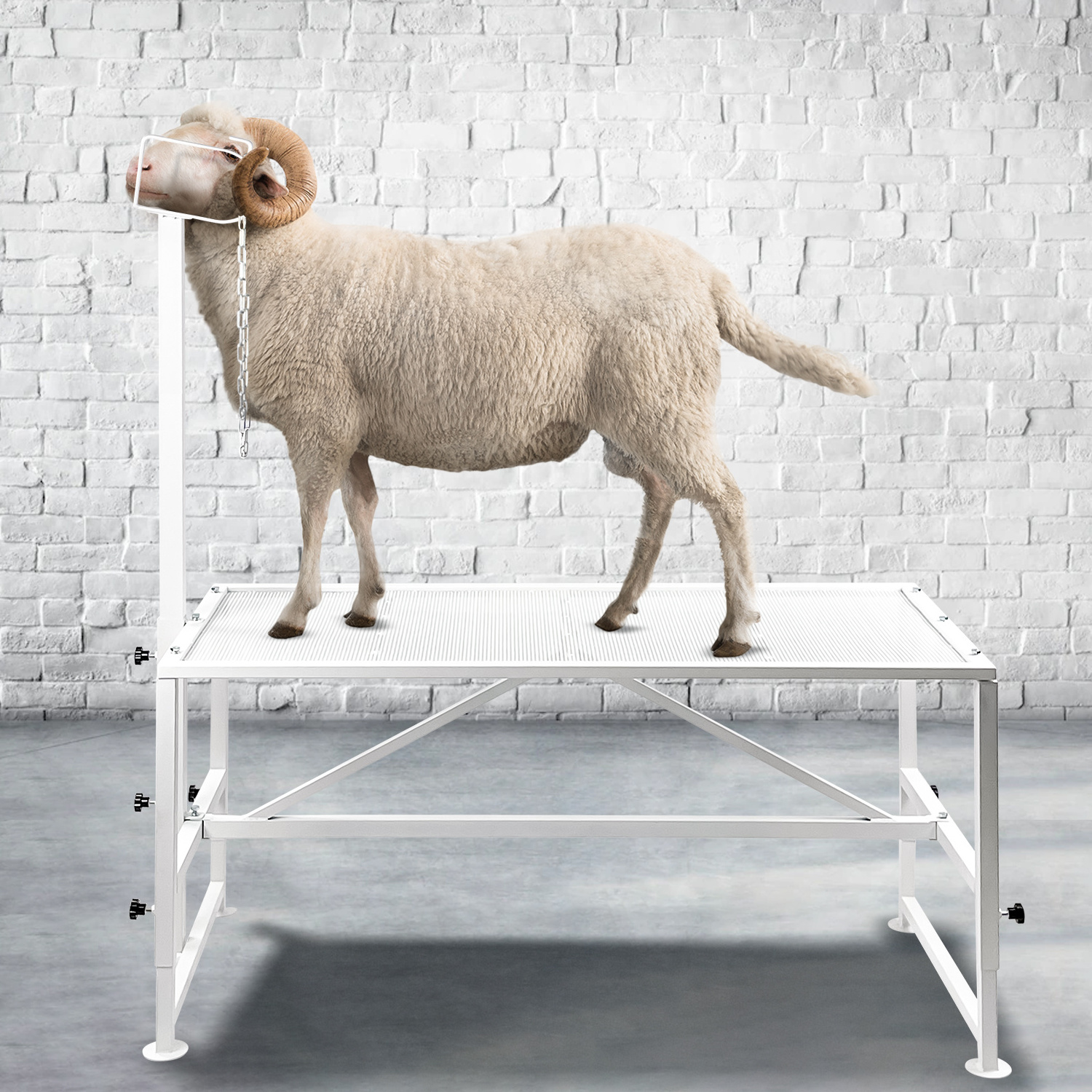 Professional Supplier Livestock Trimming Stand Goat Milking Stand  For Trimming Hooves And Shearing Sheep