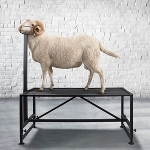 Adjustable and Durable Height Adjustable Black Goat Shearing Sheep Livestock Stand Livestock Trimming Stand