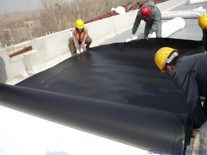 Roof Waterproofing Membrane TPO Waterproof Membrane