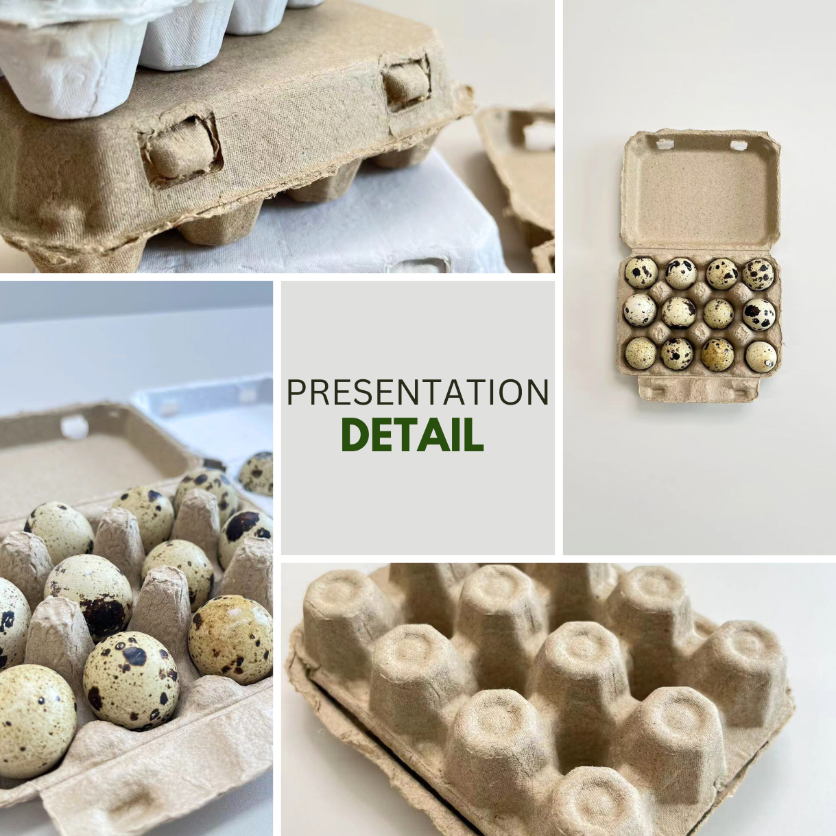 Manufacturer Supply 12 Cells Egg Cartons Compostable Quail Cardboard Holder Tray Degradable Pulp  Quail Egg Tray