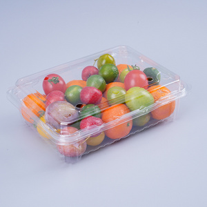 Rectangular Clear Plastic  PET Clamshell Blister Vegetable Fruit Tomato Strawberry Punnet For Packaging