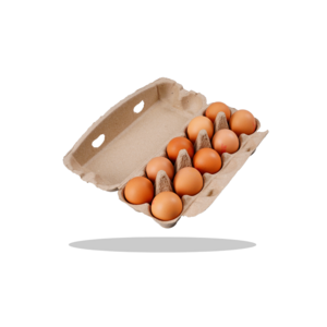 Suppliers 6 12 15 18 20 30 Grids Biodegradable Packaging Carton Chicken Egg Moulded Pulp Paper Egg Tray