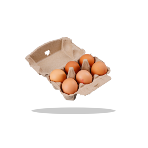 Customized  Biodegradable Paper Chicken Egg Tray Cardboard Egg  Hold Tray  6 12 15 18 20 30  Pulp Egg Tray