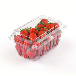 wholesale recycled eco-friendly RPET transparent blueberry Strawberries plastic fruit  Punnet