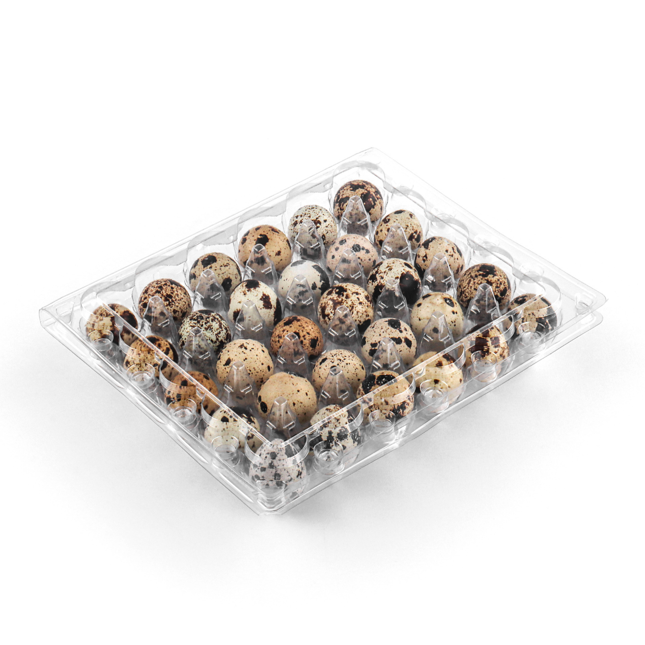 Wholesales Quail Eggs Plastic Package Tray 20 24 30 Holes Quail Egg Blister Tray